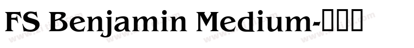 FS Benjamin Medium字体转换